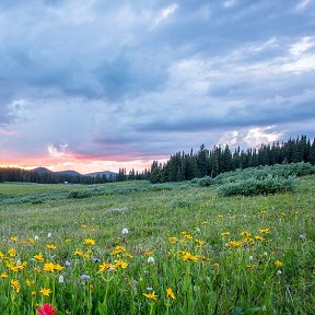 Фотография от Нурик Мамиркулов