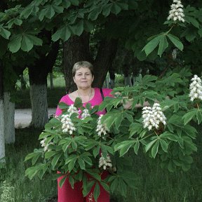 Фотография от Валентина Арчекова