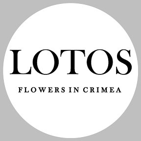 Фотография от Lotos Flowers Доставка цветов