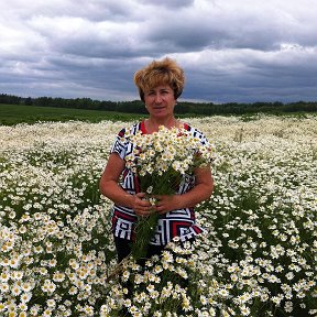 Фотография от Антонина Мутасова