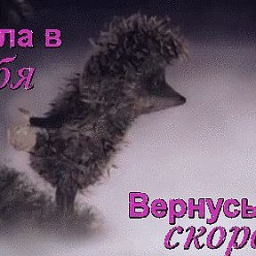 Фотография от Катюша Новикова