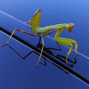 Фотография от Андрей Плюснин