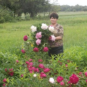 Фотография от Галина Салова (Демиденко)