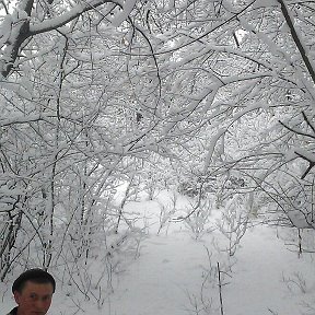 Фотография от Алексей Саютин