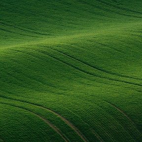 Фотография от Наида Багамаева