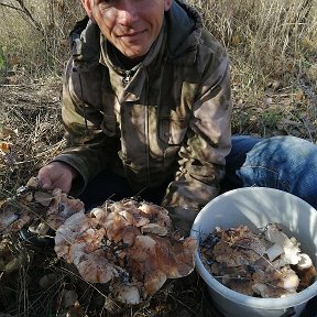 Фотография от Алексей Пипин