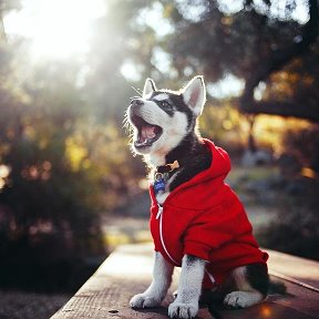 Фотография от Сергей Устюжанов