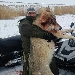 Фотография от Алексей Сакалов