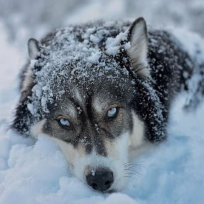 Фотография от Виталий Бурлин