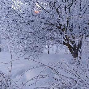 Фотография от Светлана Семененко