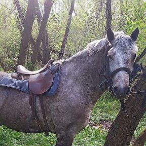 Фотография от александр егоренков