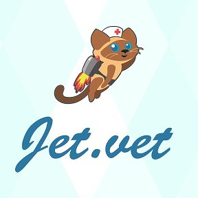 Фотография от JetVet JetVet