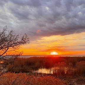 Фотография от Глафира Касаткина