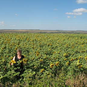 Фотография от Надежда Данилевская