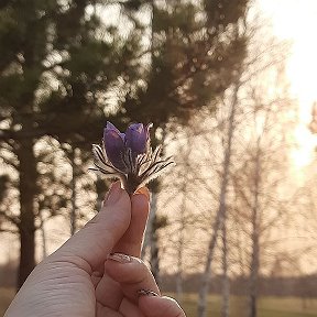 Фотография от Алена 💮