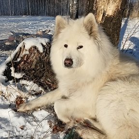 Фотография от Николай Пешков