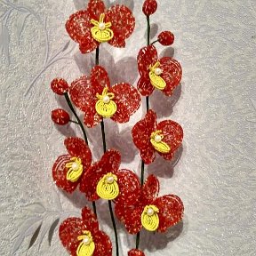 Фотография "Орхидея с бисера "