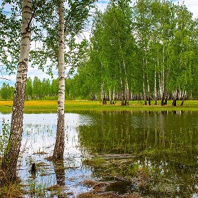 Фотография от Людмила Сидорова