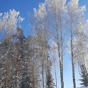 Фотография от Мария Беляевская(Рузанова)