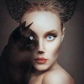 Фотография "Женщина.....кошка......"