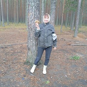 Фотография "Выход в лес!! В любимый Устьянский бор!! 11 октября"