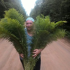 Фотография от александра иващенко