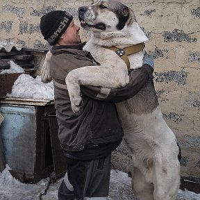 Фотография от холодная ковка холодная ковка