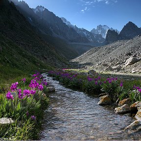 Фотография от Kyrgyzstan Kg