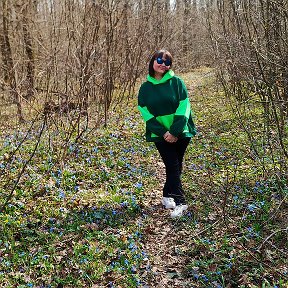 Фотография "Весна!
Солнышко, цветочки, лес, птички поют... 🌿"