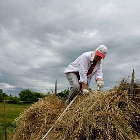 Фотография от Надежда Владимировна