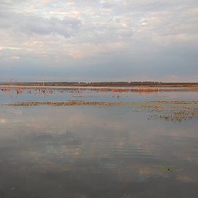 Фотография от Александр Гилёв