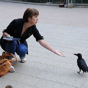 Фотография "Это я с вороном Вовкой"