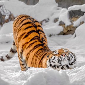 Фотография от Николай Зотов