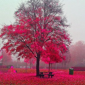 Фотография от Аня Петечук