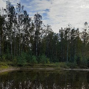 Фотография от Александр Вольф