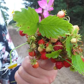 Наталья Кузнецова(Волкова) тарафыннан фотосурәт