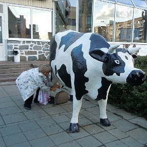 Фотография "Это наша корова и мы её доим."