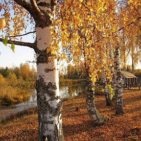 Фотография от Галина Зеленская