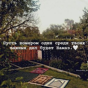 Фотография от 𝙼𝚞𝚟𝚊𝚑𝚑𝚒𝚍 🍃