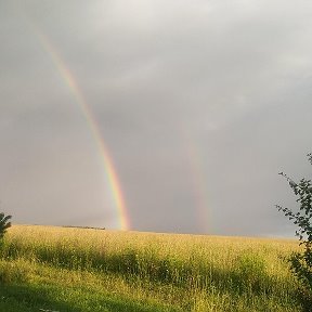 Фотография от Марина Градинар