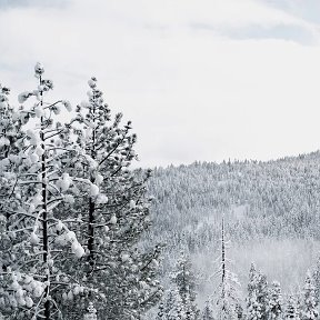 Фотография от Евгений Кудрявцев