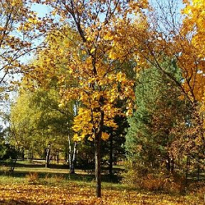 Фотография от Галина Благина