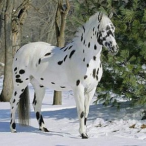 Фотография от Тимур Азизов