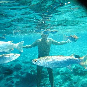 Фотография "Красное море. Собственная съемка."