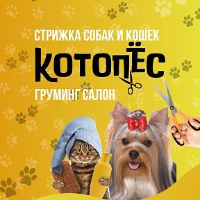 Фотография от СТРИЖКА СОБАК И КОШЕК ИСКИТИМ89538614660