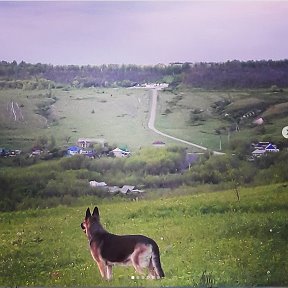 Фотография от николай палканов