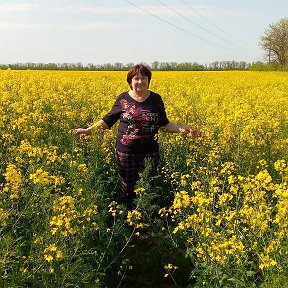 Фотография от Валентина Кислица (Гельмель)