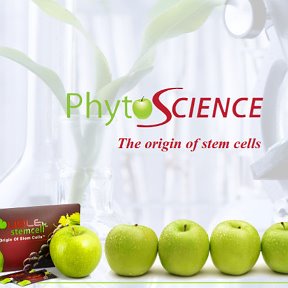 Фотография от Phyto🍏Science Assema