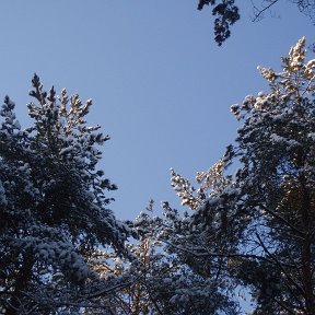 Фотография от алексей гаврилов