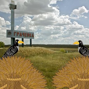 Фотография от Финансовый отдел Грачевского района